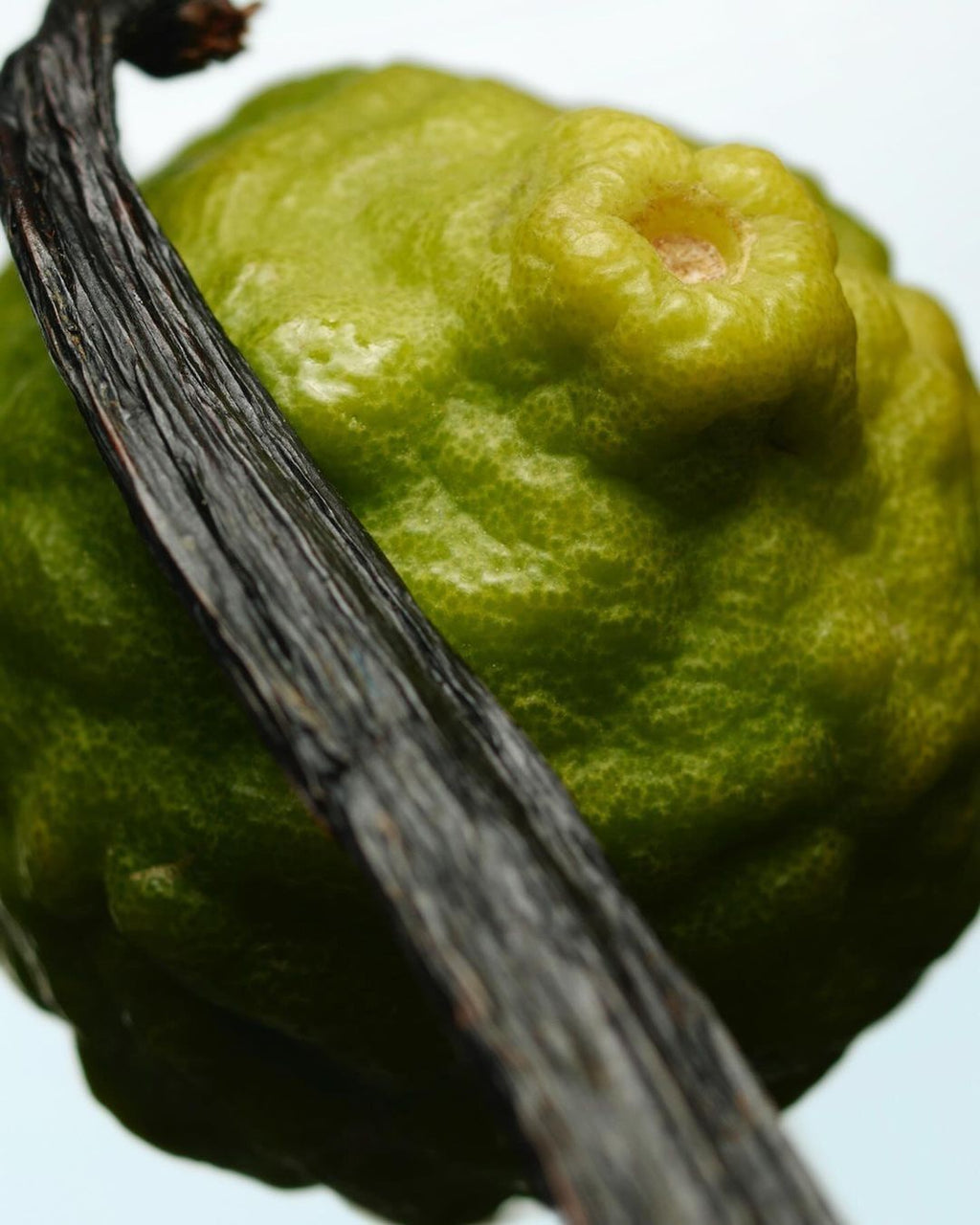 Vela Bergamot Breeze
