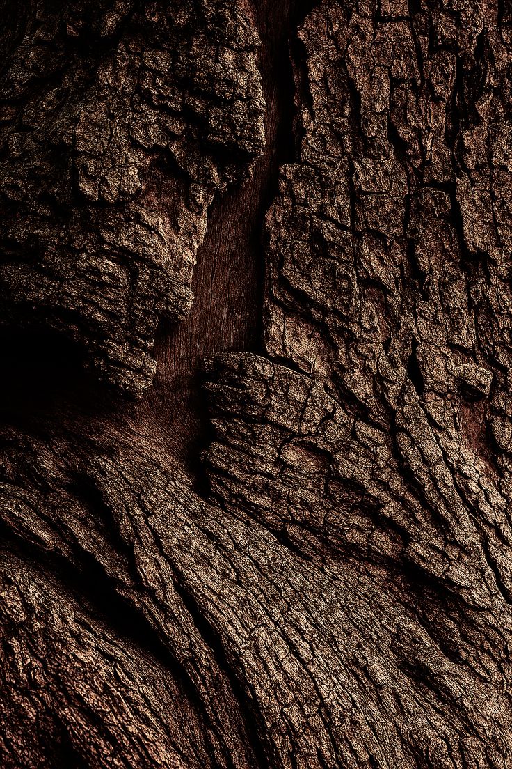 Difusor de varillas Midnight Wood